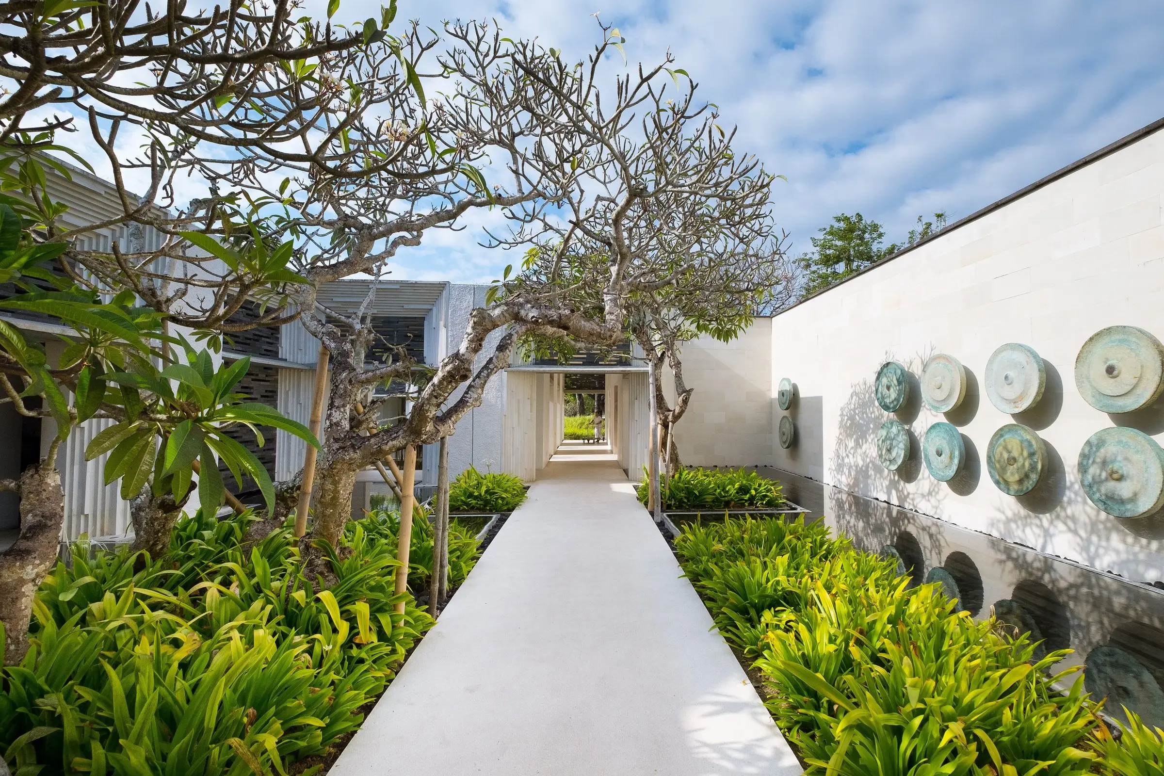 Garden path between white walls and frangipani trees