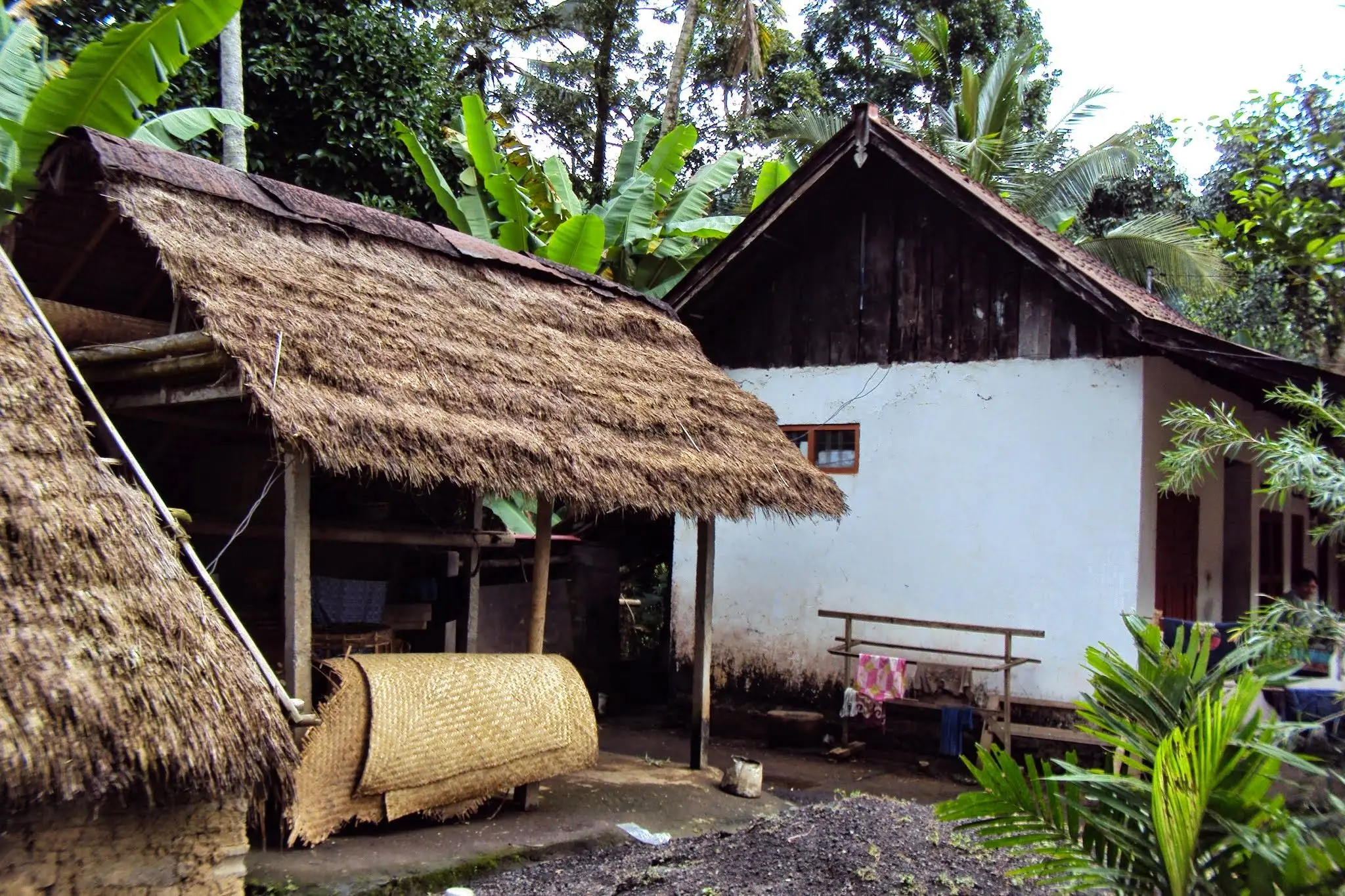 Thatched Balinese farmhouse with a woven screen
